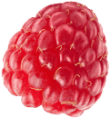 Himbeere